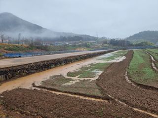 정영기대산축산농부♡님의 벼 · 영농일지 작성글 사진
