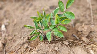 꿈 잇는 마을님의 작성글 사진