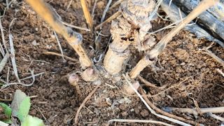 꿈 잇는 마을님의 작성글 사진