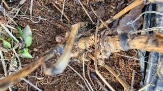 꿈 잇는 마을님의 작성글 사진