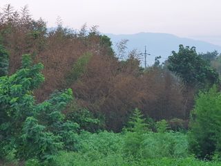규수방1님의 팜모닝 · 출석 작성글 사진
