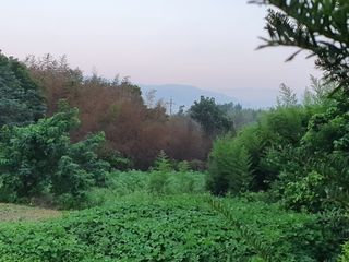 규수방1님의 팜모닝 · 출석 작성글 사진