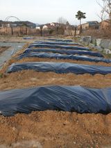 팜모닝 자유주제·자유게시판 게시글 이미지