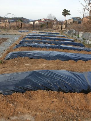 임기억님의 자유주제 · 자유게시판 작성글 사진