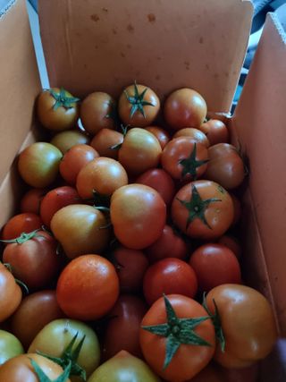 김석중님의 자유주제 · 칭찬해요 작성글 사진