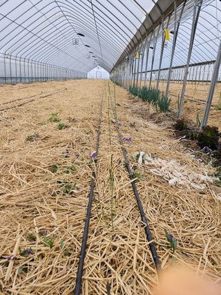 알 수 없음님의 기타작물 · 영농일지 작성글 사진