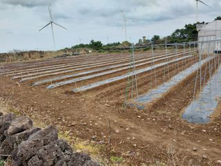 채정식님의 4월 농사계획 공유해요 · 참여글 작성글 사진