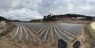 호저*윤정님의 자유주제 · 자유게시판 작성글 사진