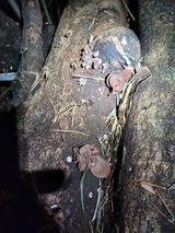 팜모닝 농사, 무엇이든 물어보세요!·참여글 게시글 이미지