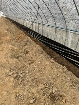 남호현님의 벼 · 영농일지 작성글 사진