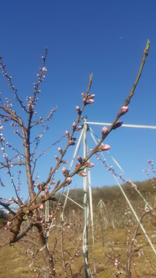 강성분님의 4월 농사계획 공유해요 · 참여글 작성글 사진