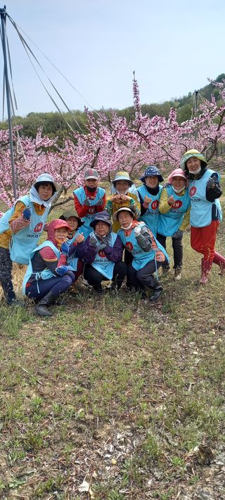 강성분님의 4월 농사계획 공유해요 · 참여글 작성글 사진