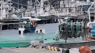 직송포유님의 자유주제 · 자유게시판 작성글 사진