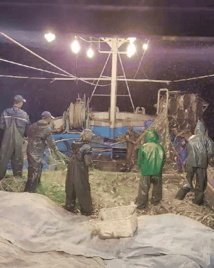 직송포유님의 자유주제 · 자유게시판 작성글 사진