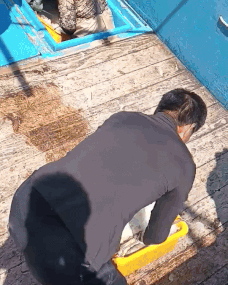 직송포유님의 자유주제 · 자유게시판 작성글 사진