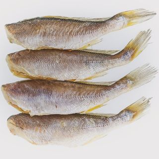 직송포유님의 자유주제 · 자유게시판 작성글 사진