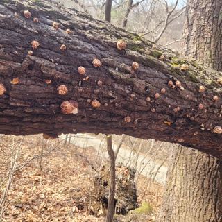 박완규님의 자유주제 · 자유게시판 작성글 사진