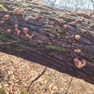 박완규님의 자유주제 · 자유게시판 작성글 사진