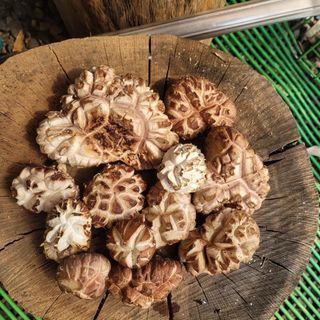 박완규님의 자유주제 · 자유게시판 작성글 사진