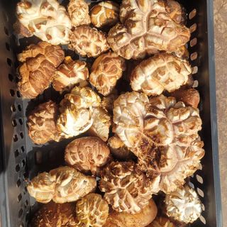 박완규님의 자유주제 · 자유게시판 작성글 사진