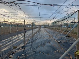 대원농장님의 4월 농사계획 공유해요 · 참여글 작성글 사진