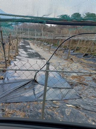 대원농장님의 4월 농사계획 공유해요 · 참여글 작성글 사진