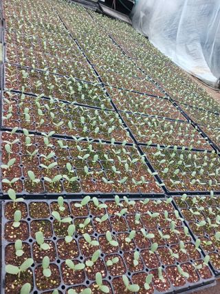 삼부자님의 자유주제 · 자유게시판 작성글 사진