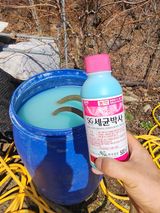 팜모닝 4월 농사계획 공유해요·참여글 게시글 이미지