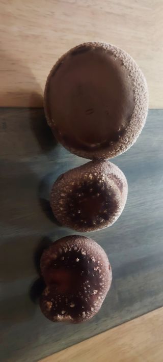 안재성님의 자유주제 · 자유게시판 작성글 사진