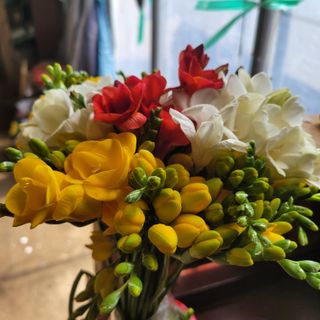 서녕영더기님의 고구마 · 영농일지 작성글 사진