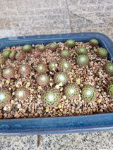 팜모닝 자유주제·칭찬해요 게시글 이미지