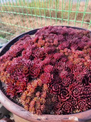 김석중님의 자유주제 · 칭찬해요 작성글 사진