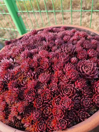 김석중님의 자유주제 · 칭찬해요 작성글 사진