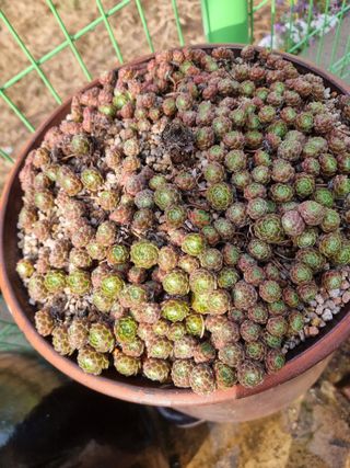 김석중님의 자유주제 · 칭찬해요 작성글 사진