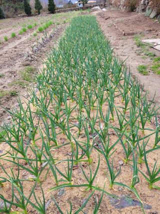 김효만님의 자유주제 · 자유게시판 작성글 사진
