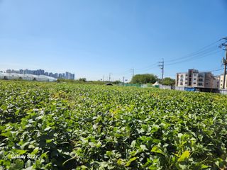 이명화님의 4월 농사계획 공유해요 · 참여글 작성글 사진