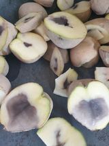 팜모닝 감자·자유게시판 게시글 이미지