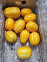 팜모닝 자유주제·자유게시판 게시글 이미지