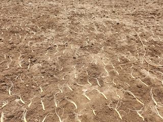 진상빈님의 작성글 사진