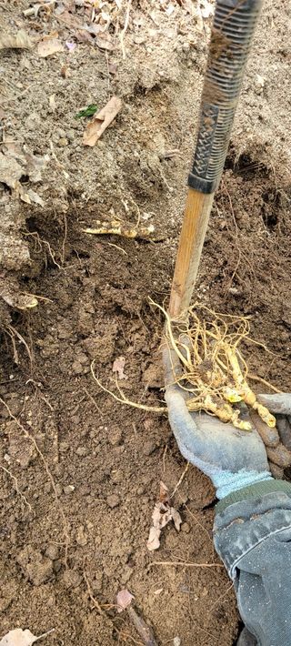 진상빈님의 작성글 사진