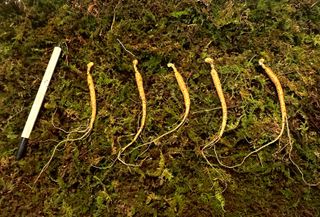 진상빈님의 작성글 사진