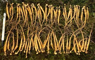 진상빈님의 작성글 사진