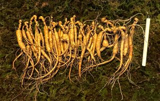 진상빈님의 작성글 사진