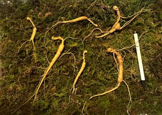 진상빈님의 작성글 사진