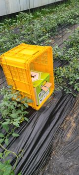 팜모닝 자유주제·자유게시판 게시글 이미지