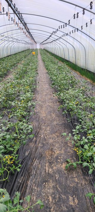 정오농장님의 자유주제 · 자유게시판 작성글 사진