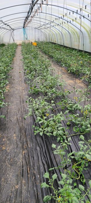 정오농장님의 자유주제 · 자유게시판 작성글 사진