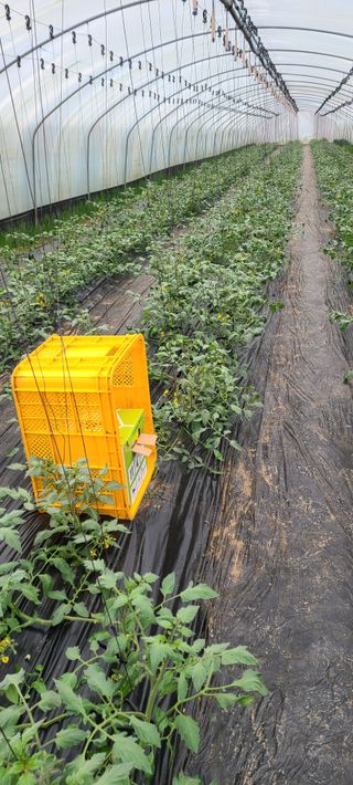 정오농장님의 자유주제 · 자유게시판 작성글 사진