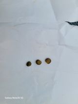 팜모닝 자유주제·자유게시판 게시글 이미지