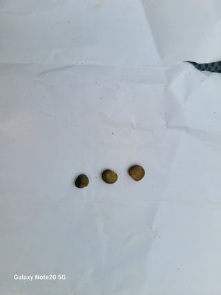 이윤미님의 자유주제 · 자유게시판 작성글 사진